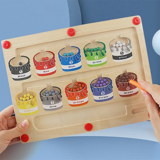Montessori Magnetic Maze Toy | Enhances Color Recognition & Coordination