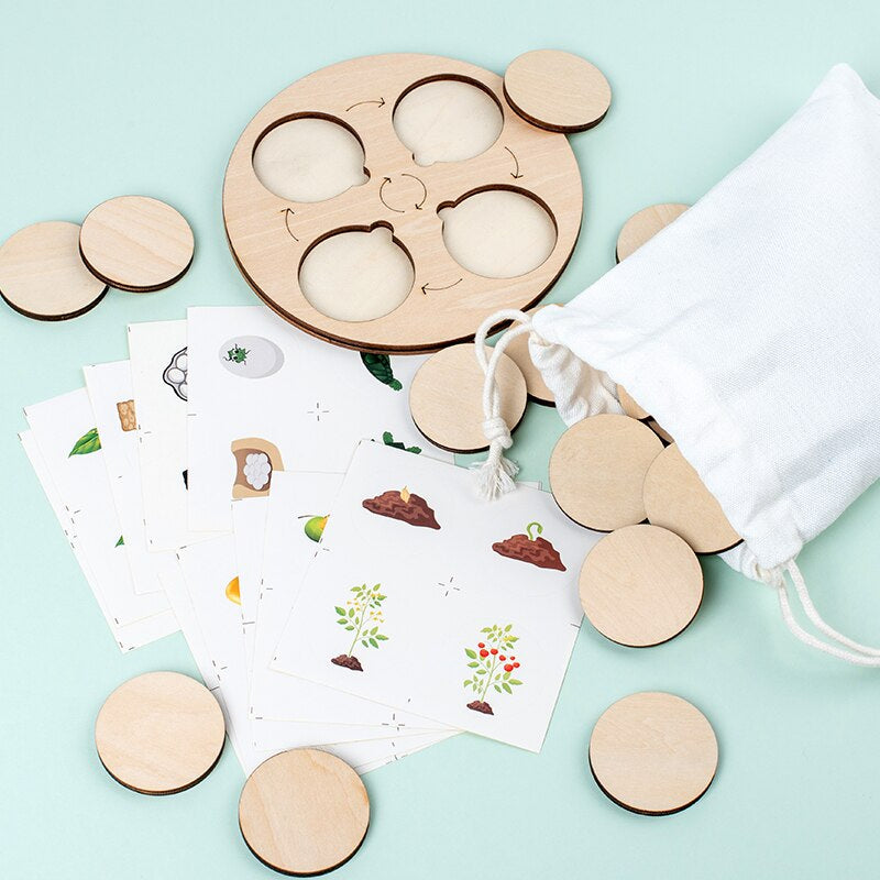 Wooden Life Cycle Puzzle | Engaging Educational Toy for Kids