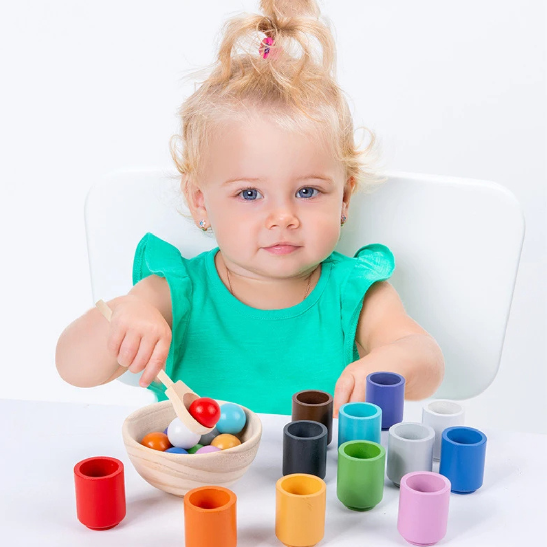 Montessori Color Sorting Toy | Develops Cognitive and Motor Skills