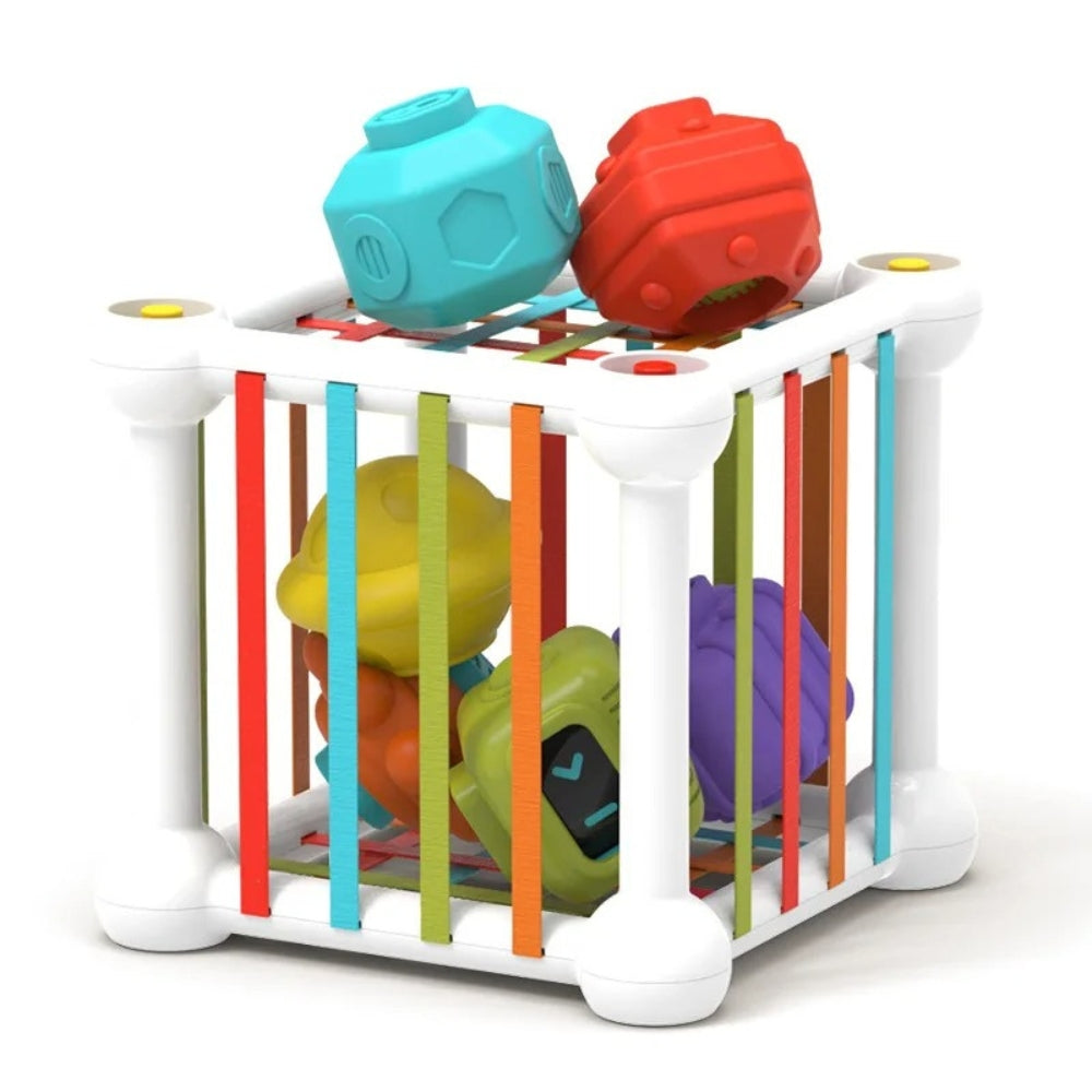 Shape Sorting Cube | Colorful Blocks for Motor Skills