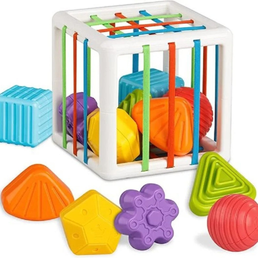 Shape Sorting Cube | Colorful Blocks for Motor Skills