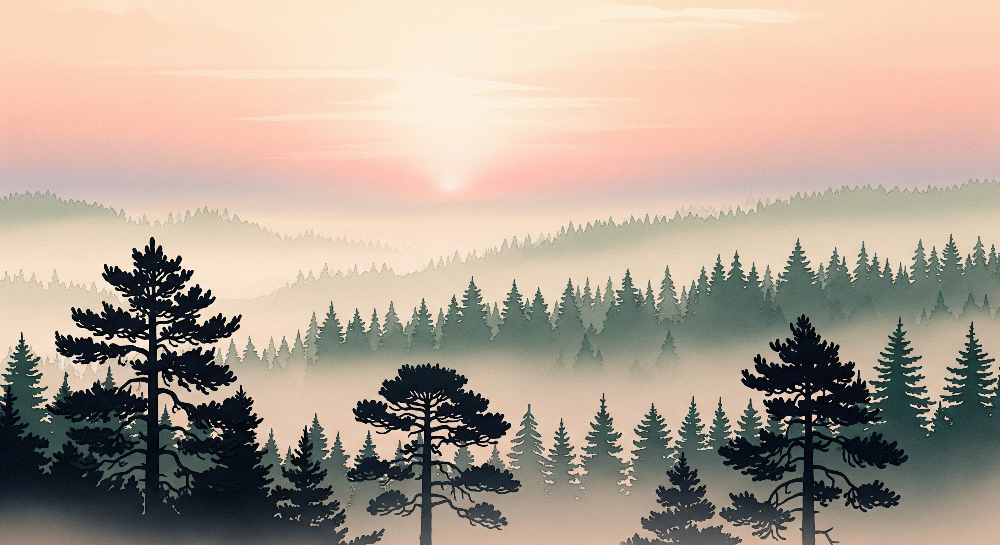 Golden Sunrise Pine Forest Wall Mural