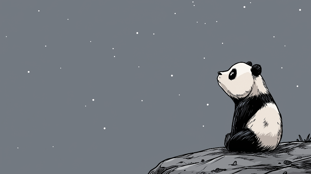 Kids-Mundo flat artwork of a panda sitting on a rock beneath a starry night sky