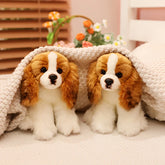 Teddy Plush Dog Toy | Soft, Huggable Companion for Kids