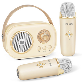 Portable Karaoke System for Kids | Fun with Two Microphones