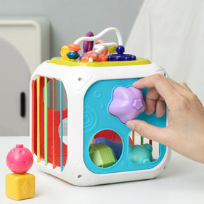 Shape Sorter Toy for Toddlers | BPA-Free Educational Motor Skills Development