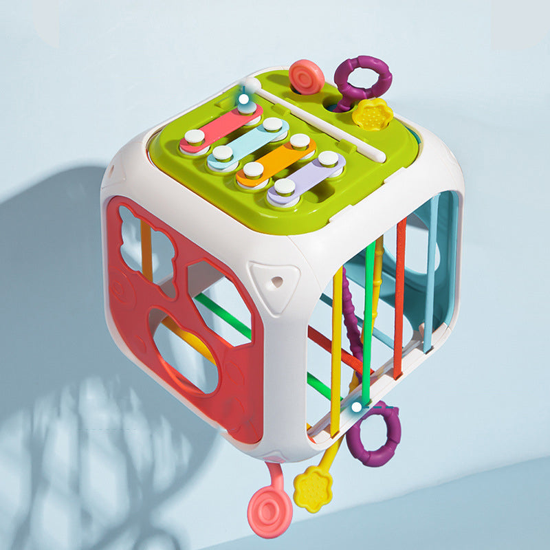 Shape Sorter Toy for Toddlers | BPA-Free Educational Motor Skills Development