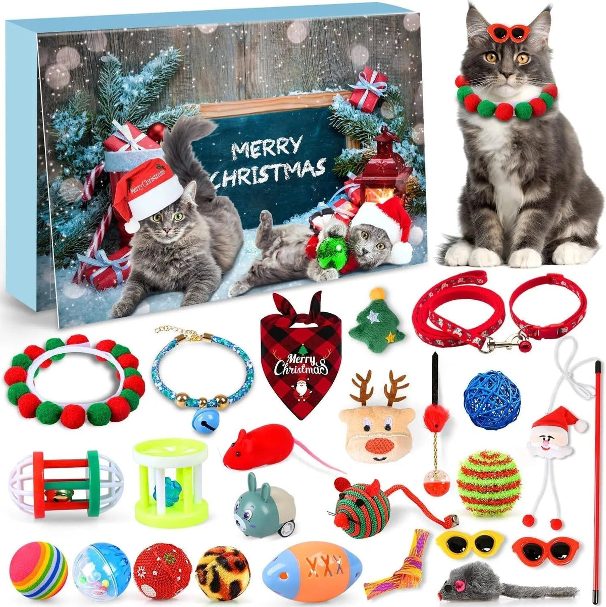 Cat Advent Calendar | Daily Toys and Indoor Fun