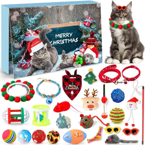 Cat Advent Calendar | Daily Toys and Indoor Fun