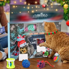 Cat Advent Calendar | Daily Toys and Indoor Fun