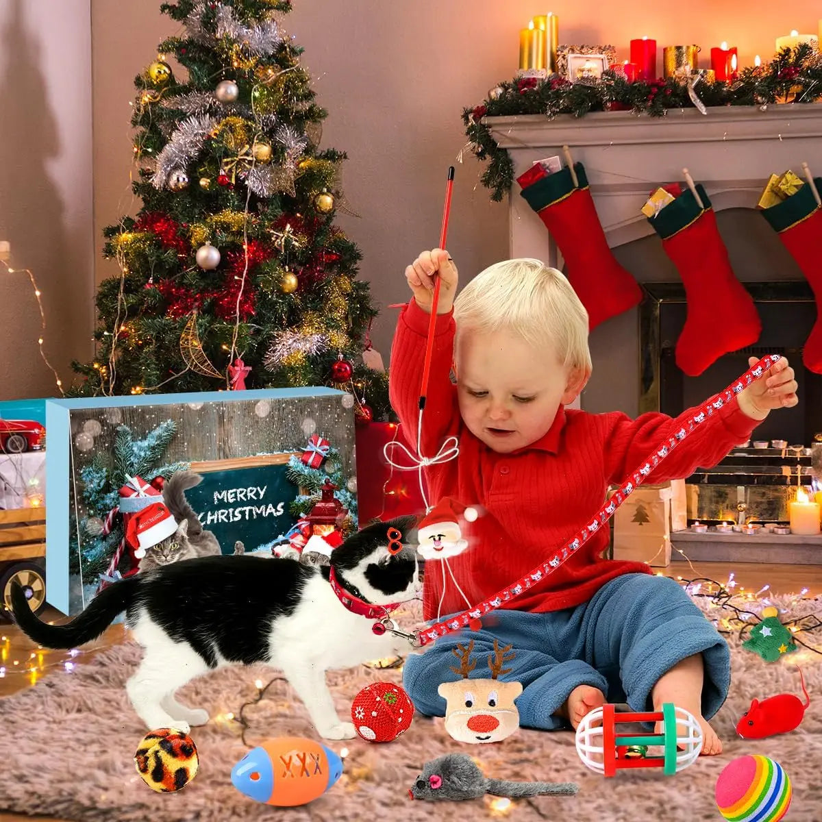 Cat Advent Calendar | Daily Toys and Indoor Fun