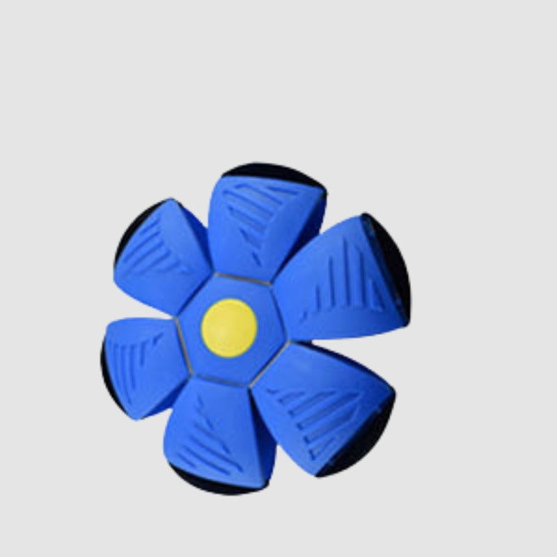 Transforming Sports Ball Toy | Engaging Shape-Shifting Play