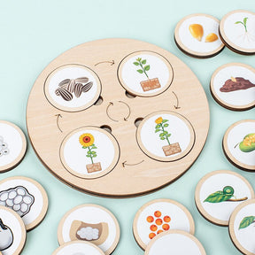 Wooden Life Cycle Puzzle | Engaging Educational Toy for Kids