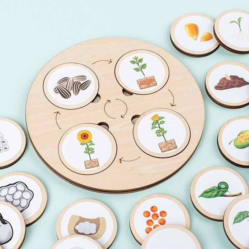 Wooden Life Cycle Puzzle | Engaging Educational Toy for Kids