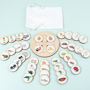 Wooden Life Cycle Puzzle | Engaging Educational Toy for Kids