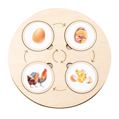 Wooden Life Cycle Puzzle | Engaging Educational Toy for Kids