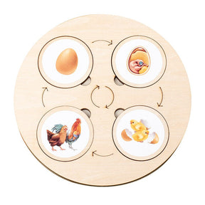 Wooden Life Cycle Puzzle | Engaging Educational Toy for Kids
