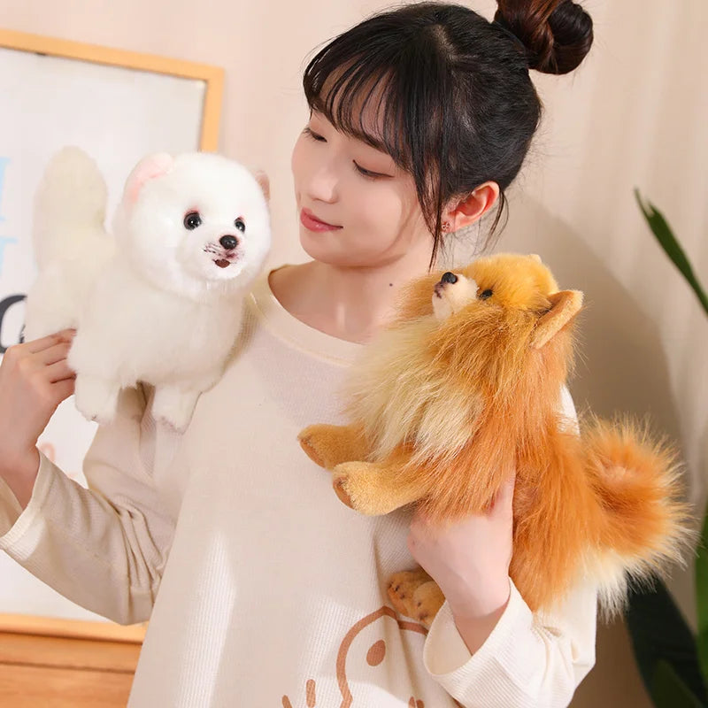 Pomeranian Dog Plush Toy | Soft, Cuddly 12-Inch Companion