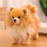 Pomeranian Dog Plush Toy | Soft, Cuddly 12-Inch Companion