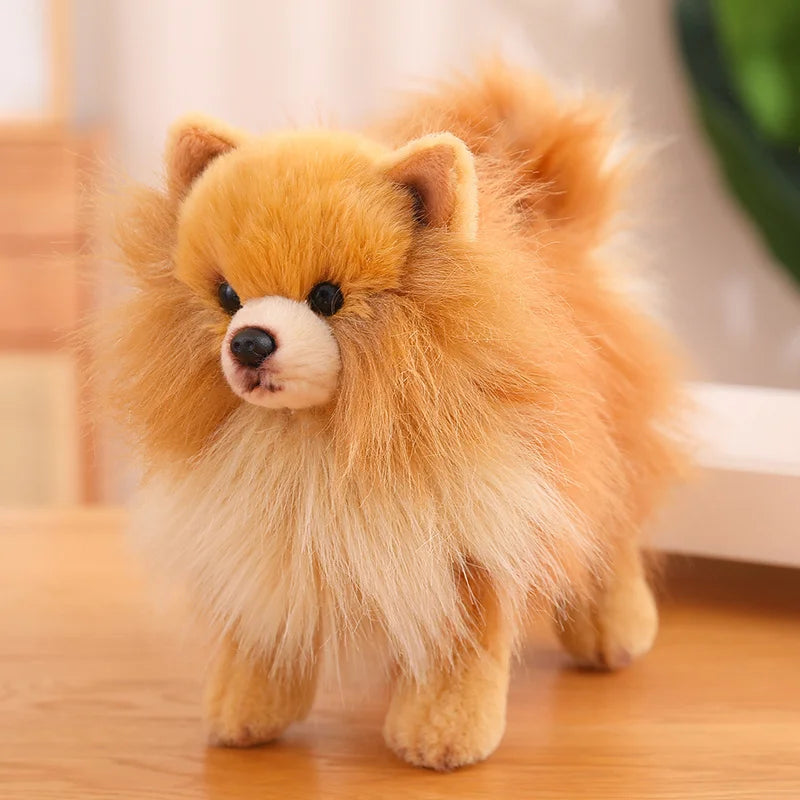 Pomeranian Dog Plush Toy | Soft, Cuddly 12-Inch Companion