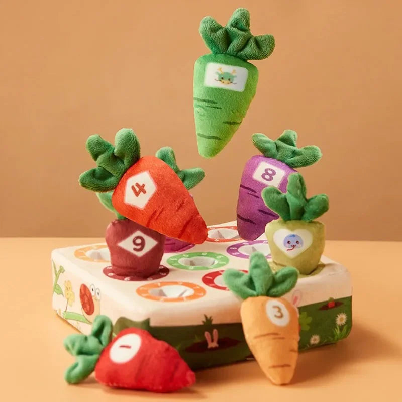 Kids Plush Sensory Toys | Enhance Creativity and Motor Skills