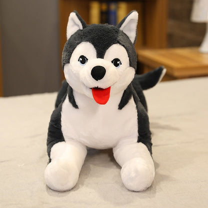 Husky Puppy Plush Toy | Realistic, Soft, Life-Size Cuddly Companion