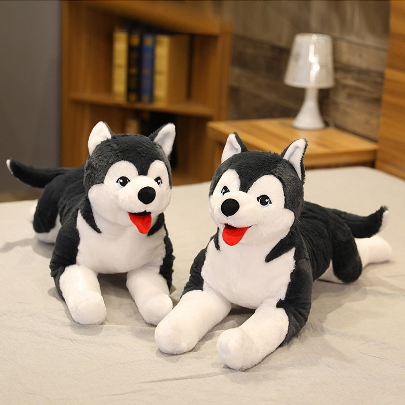 Husky Puppy Plush Toy | Realistic, Soft, Life-Size Cuddly Companion