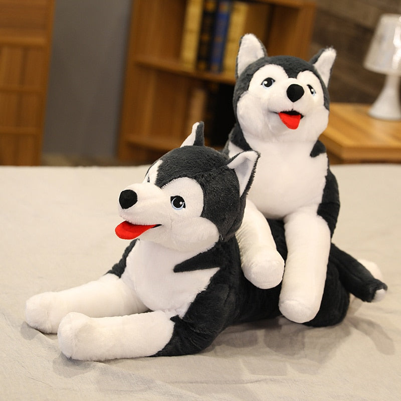 Husky Puppy Plush Toy | Realistic, Soft, Life-Size Cuddly Companion