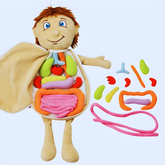 Soft Anatomy Learning Toy | Engaging Hands-On Exploration
