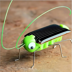 Solar-Powered Grasshopper Toy | Engaging STEM Learning Activity