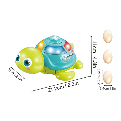 Interactive Crawling Turtle Toy | Encourages Active Play and Early Development