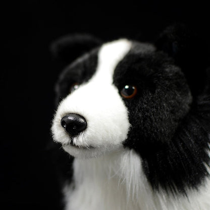Border Collie Plush Toy | Soft, Durable, Cuddly Companion
