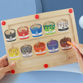 Magnetic Sorting Board Playset | Develops Fine Motor Skills