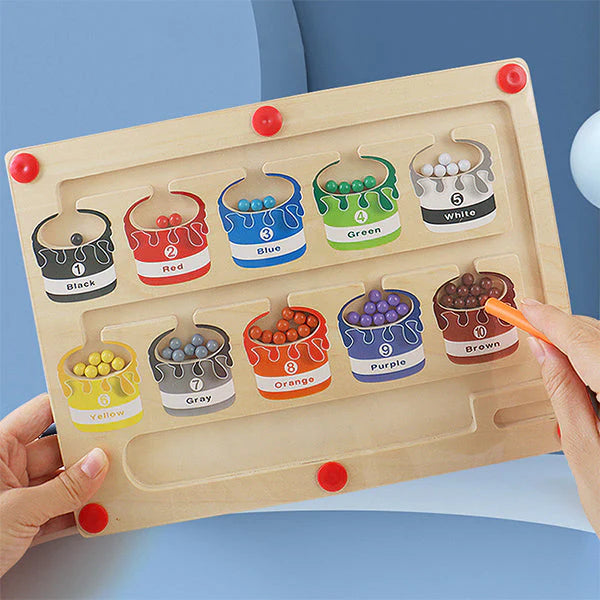 Magnetic Sorting Board Playset | Develops Fine Motor Skills