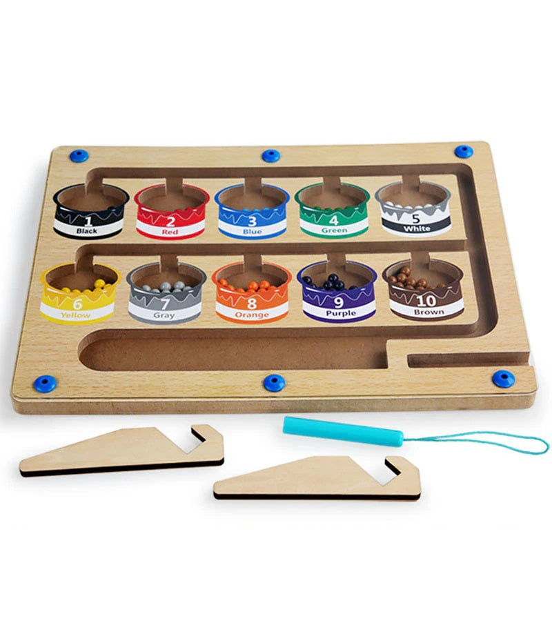 Magnetic Sorting Board Playset | Develops Fine Motor Skills