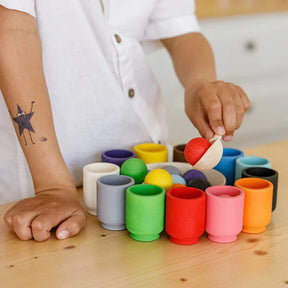 Sensory Sorting Ball Toy | Enhances Focus and Fine Motor Skills