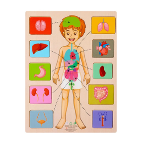 Human Body Puzzle Set | Engaging Hands-On Learning Experience