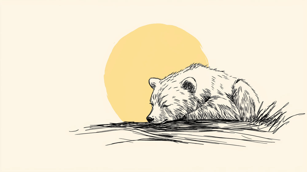 Detailed baby bear mural wallpaper design pattern with sleeping bear under sun by Kids-Mundo