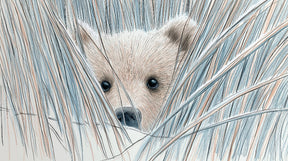 Detailed bear cub hidden in grass mural wallpaper design pattern by Kids-Mundo