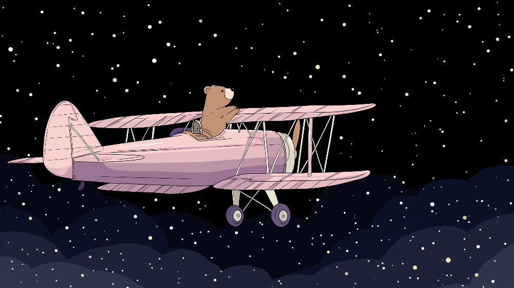 Detailed bear pilot and pink airplane mural wallpaper design pattern by Kids-Mundo