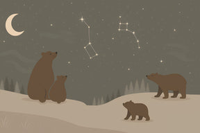 Detailed bear constellation mural wallpaper design pattern showing stars and woodland animals by Kids-Mundo