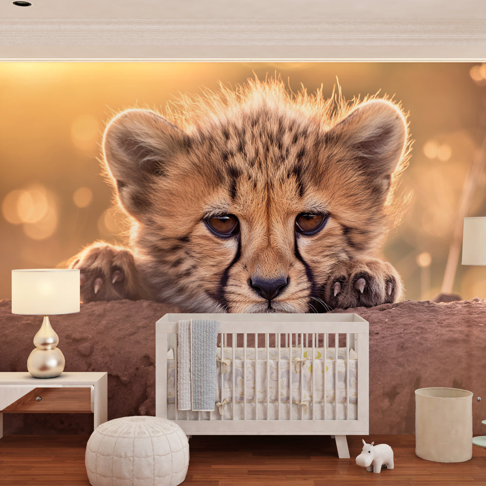 Safari cheetah wallpaper transforming children's bedroom into African savanna adventure space