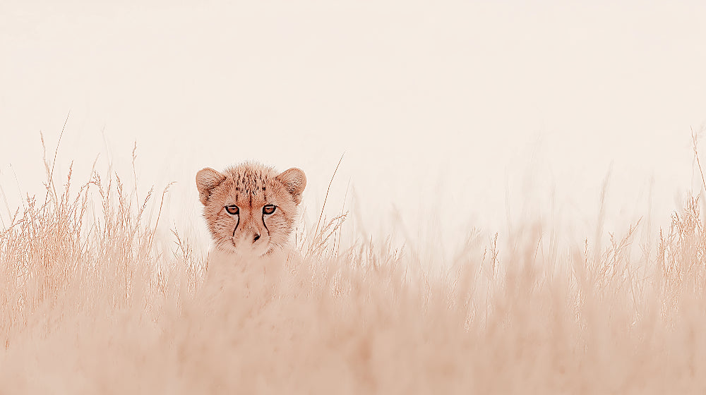 Detailed cheetah savanna mural wallpaper design pattern by Kids-Mundo