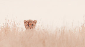 Detailed cheetah savanna mural wallpaper design pattern by Kids-Mundo