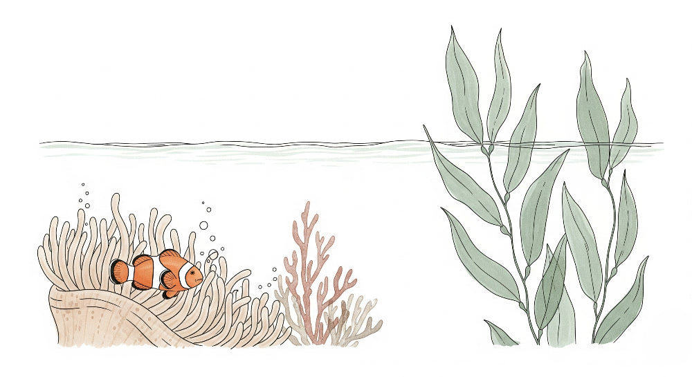 Detailed clownfish and coral reef mural wallpaper design pattern by Kids-Mundo
