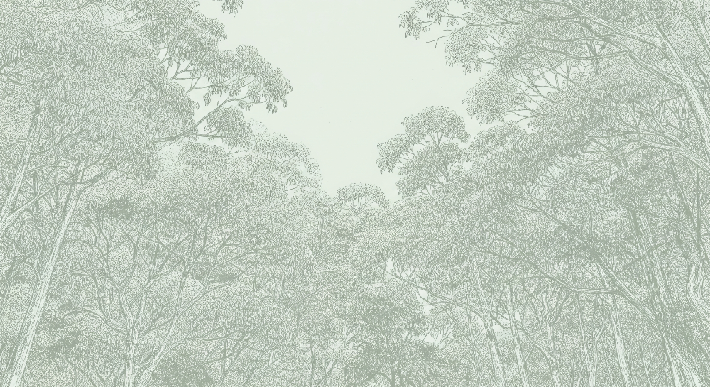 Kids-Mundo flat artwork of delicate tree branches forming a dappled woodland canopy