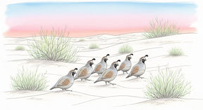 Detailed desert birds mural wallpaper design pattern showing prairie birds and sand dunes by Kids-Mundo