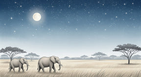 Detailed elephant starry night mural wallpaper design pattern by Kids-Mundo