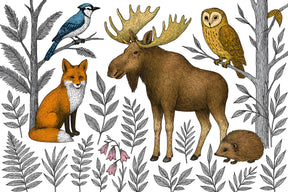 Detailed forest animals mural wallpaper design pattern showing moose fox owl and botanical elements by Kids-Mundo