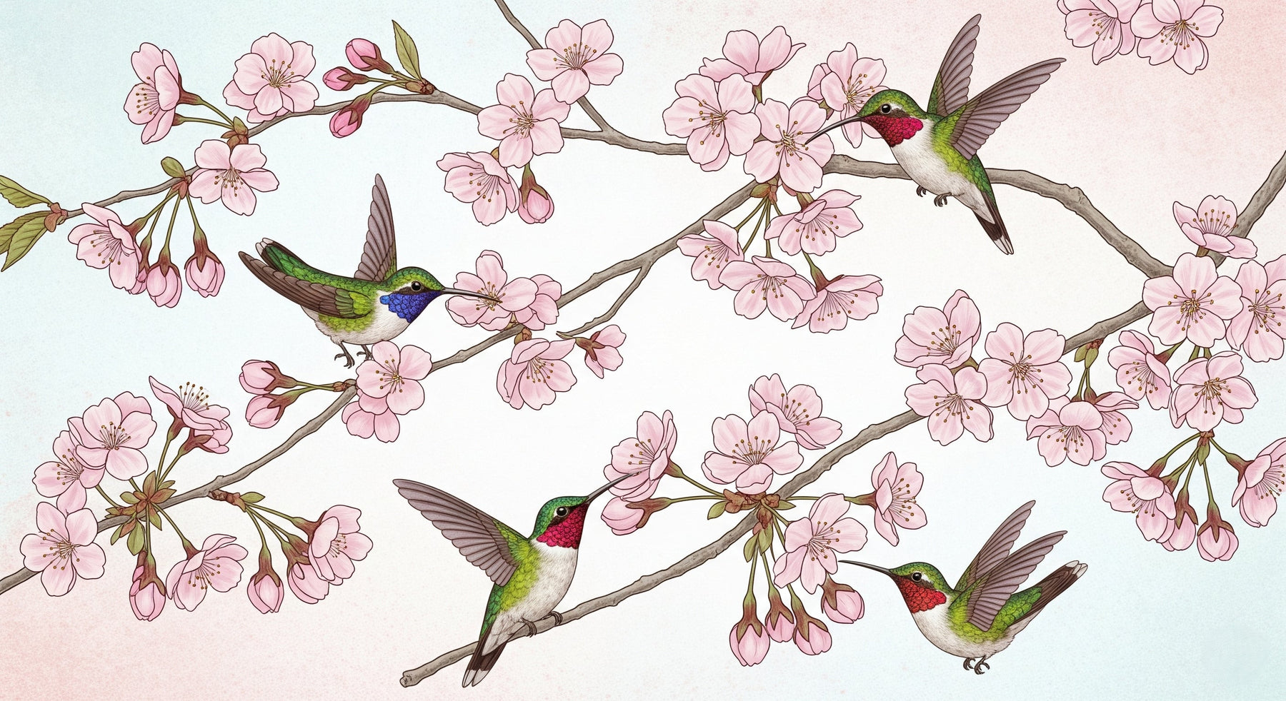 Detailed hummingbird and cherry blossom mural wallpaper design pattern by Kids-Mundo